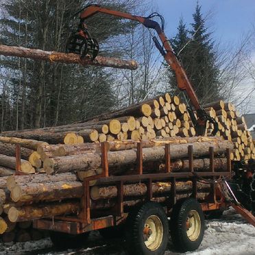 transport de bois